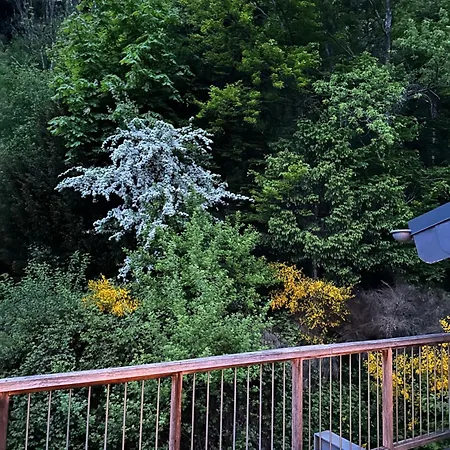 Dachterrassenwohnung - Nah Am *