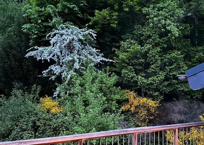 Dachterrassenwohnung - Nah Am *